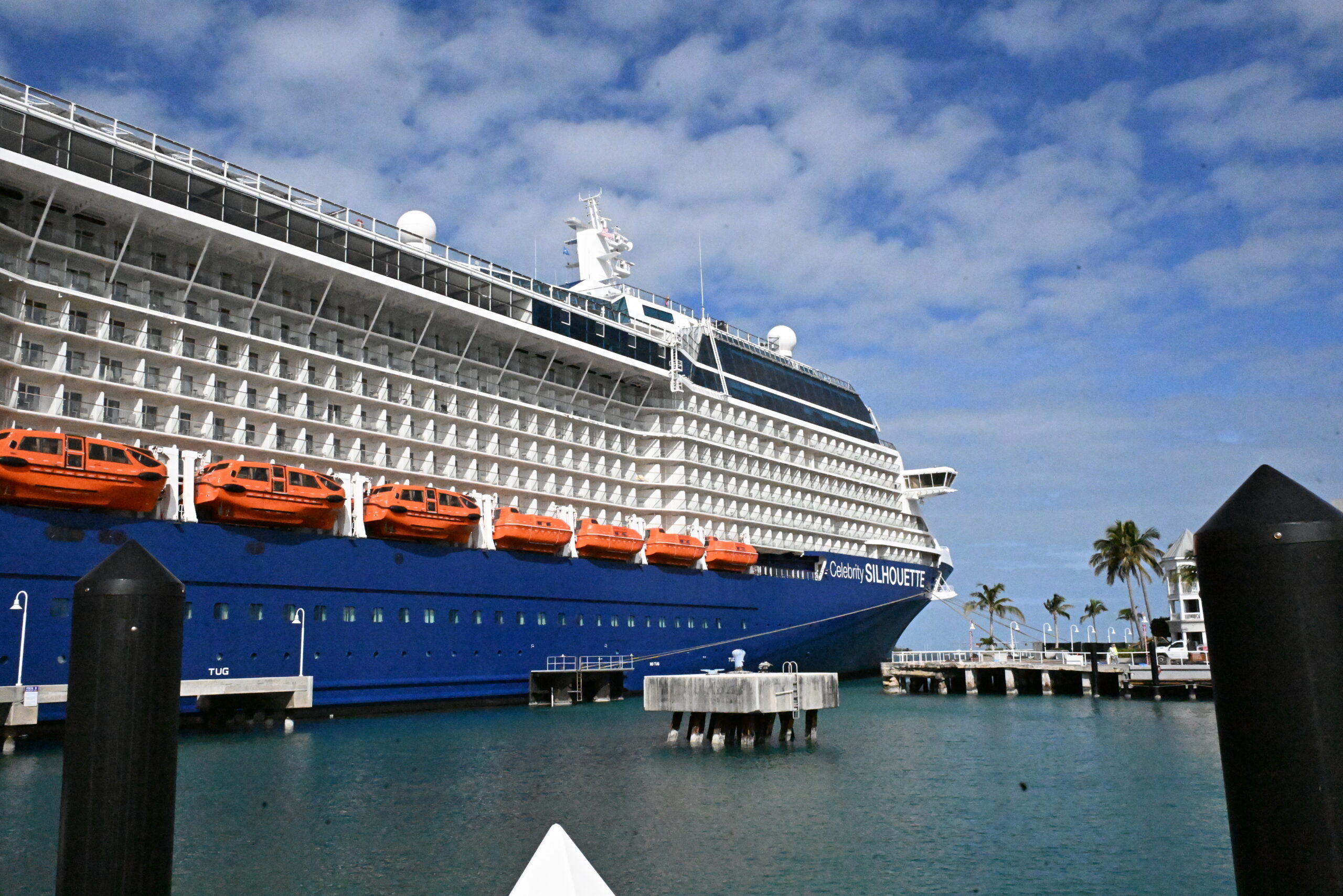 Ship Guides & Reviews